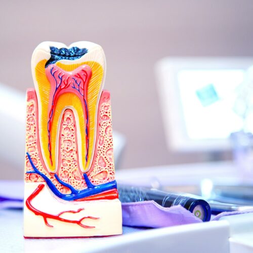 Dr Eva Korn Zahnheilpraxis Koblenz